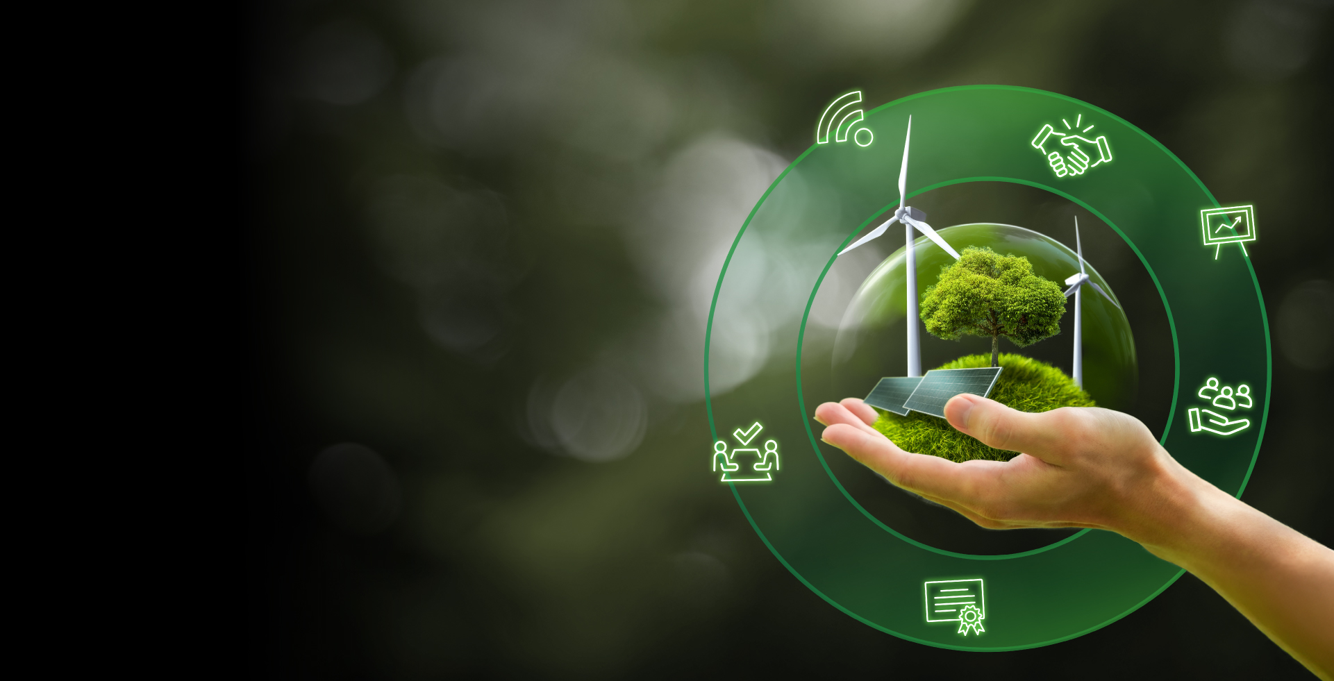 Our Commitment to the Environment