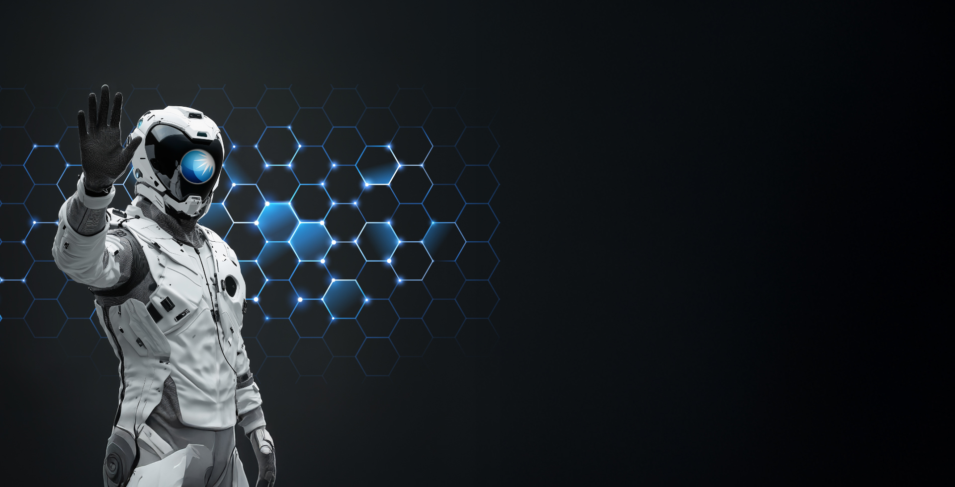 الحماية الشخصية